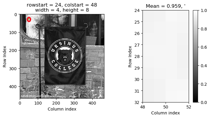 Ursinus flag with a bright pixel in the upper right region highlighted