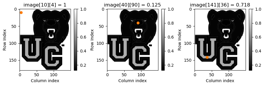 Three Ursinus Bears in greyscale with sample pixels identified