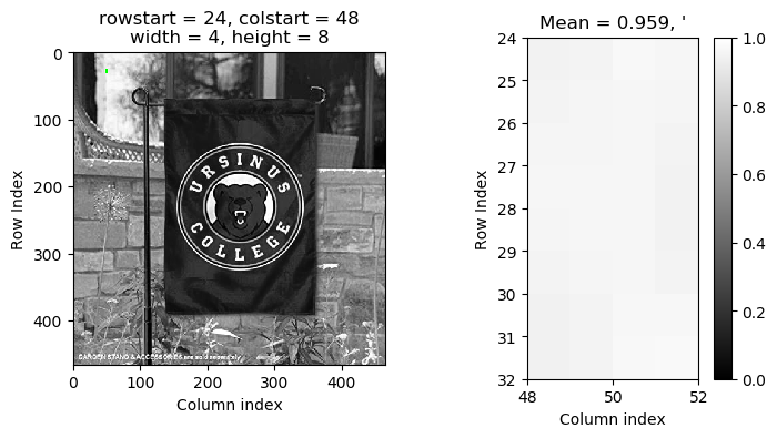 Ursinus flag with a bright pixel in the upper right region highlighted