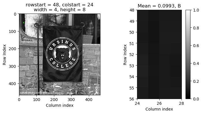 Ursinus flag with a dark pixel in the upper right region highlighted